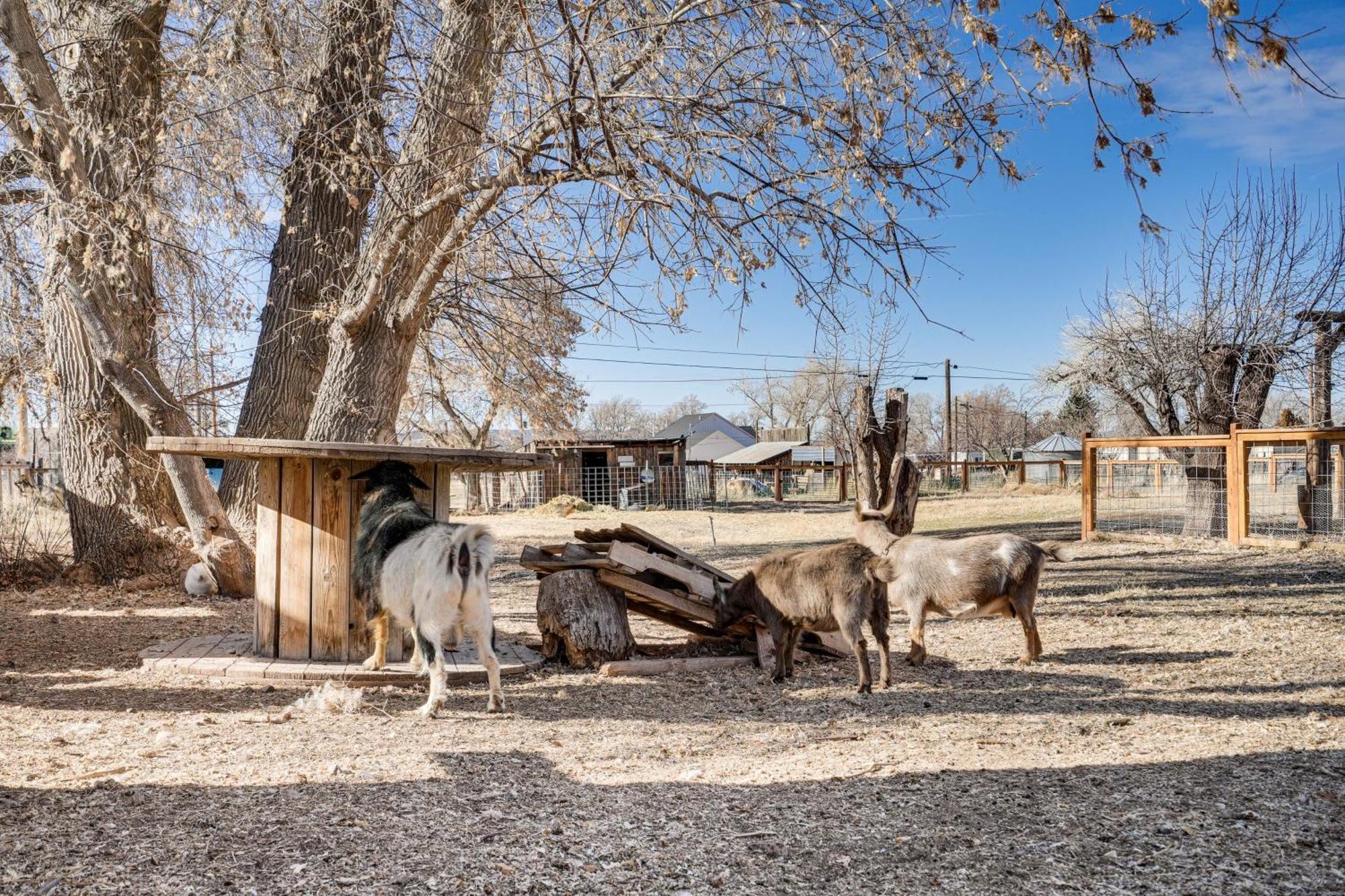 Cozy Parowan Studio 12 Mi To Brian Head Resort! Exterior foto